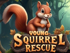 เกม Young Squirrel Rescue
