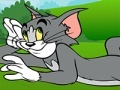 เกม Tom and Jerry ATV Adventure