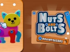 เกม Nuts and Bolts Brainteasers