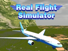 เกม Real Flight Simulator 