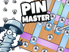เกม Pin Master