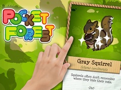 เกม Pocket Forest