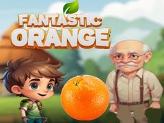 เกม Fantastic Orange