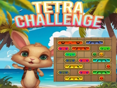 เกม Tetra Challenge