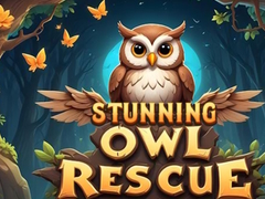 เกม Stunning Owl Rescue