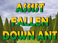 เกม  Assist Fallen Down Ant