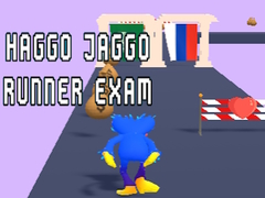 เกม Haggo Jaggo Runner exam