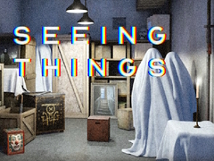 เกม Seeing Things