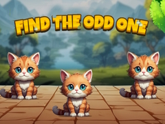 เกม Find The Odd One