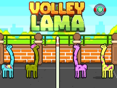 เกม Volley Lama
