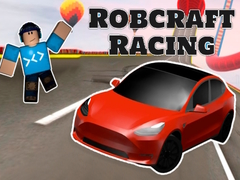 เกม Robcraft Racing