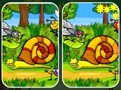 เกม Insects Photo Differences