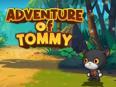 เกม Advanture Of Tommy