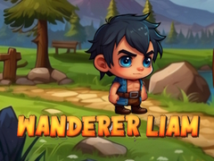 เกม Wanderer Liam