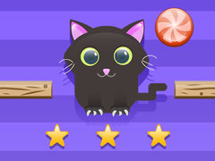 เกม Cat Challenge