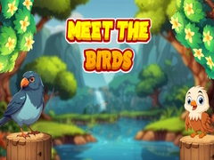 เกม Meet The Birds 