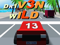 เกม Dr1v3n Wild
