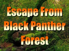 เกม Escape from Black Panther Forest