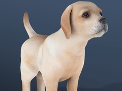 เกม IDLE Pet