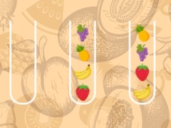 เกม Fruit Sort Master