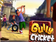 เกม Gully Cricket