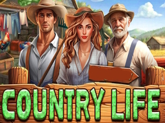 เกม Country Life