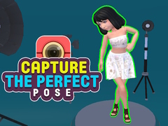 เกม Capture the Perfect Pose 