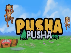 เกม Pusha Pusha
