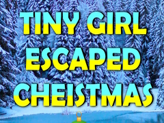 เกม Tiny Girl Escaped Christmas Island