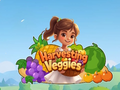 เกม Harvesting Veggies