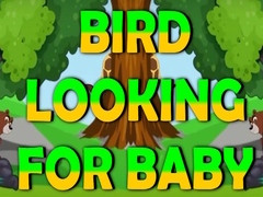 เกม Bird Looking For Baby