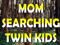 เกม Mom Searching Twin Kids