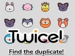 เกม Twice! Find the Duplicate!
