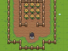 เกม Charlotte Valley
