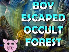 เกม Boy Escaped Occult Forest