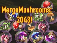 เกม MergeMushrooms: 2048!