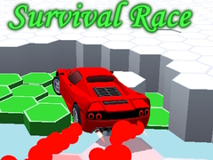 เกม Survival Race