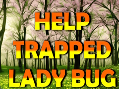 เกม Help Trapped Lady Bug