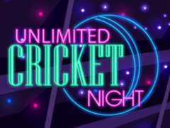 เกม Unlimited Cricket Night