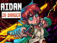 เกม Aidan in Danger