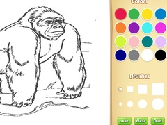เกม Zoo Animals Coloring Book for Kids