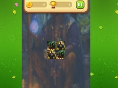 เกม Magic Druid Memory Match