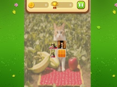 เกม Farm Cat Memory Match