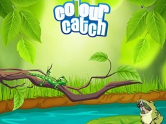 เกม Colour Catch