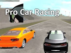 เกม Pro Car Racing
