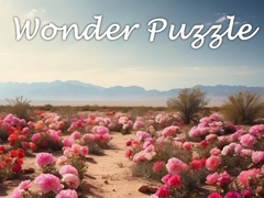 เกม Wonder Puzzle