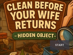 เกม Clean Before Your Wife Returns Hidden Object