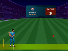 เกม Cricket Night 2