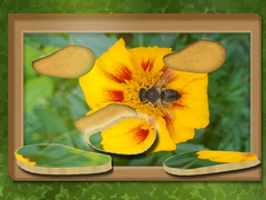 เกม Find & Restore: Hidden Puzzle