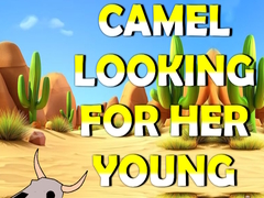 เกม Camel Looking For Her Young